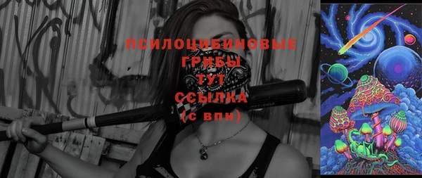 стафф Пересвет