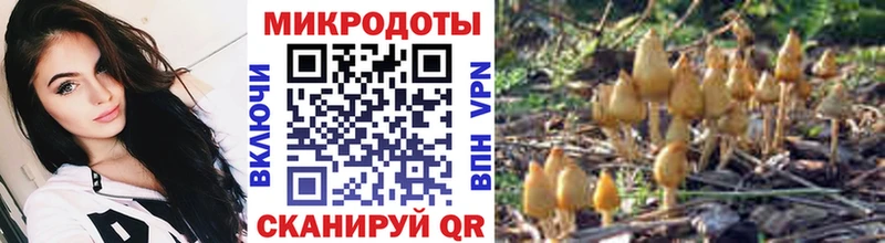 Псилоцибиновые грибы мухоморы  купить наркотик  Рославль 