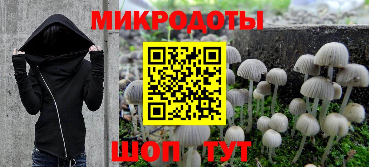 Псилоцибиновые грибы GOLDEN TEACHER Рославль